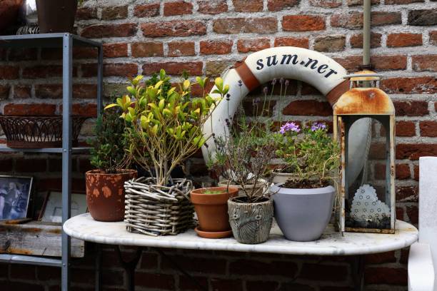 istock a table that has plants and a light on it in the corner 1850522496