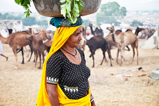 mature woman carrying vegetables on head mature woman carrying large bowl with vegetables, at cattle fair in Pushkar, Rajasthan, India india indigenous culture indian culture women stock pictures, royalty-free photos & images