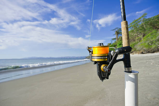 istock Surf-fishing reel on a beach 185057099