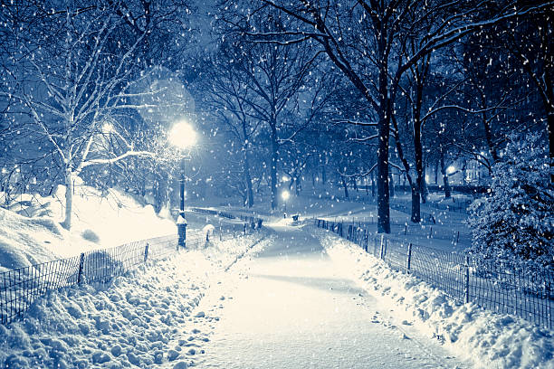istock Central park by night during snow storm 185057492