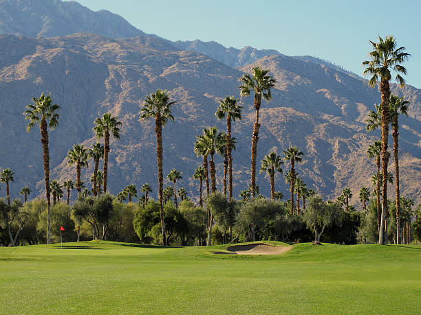 istock Lush green golf course in the Palm Springs desert 185057618