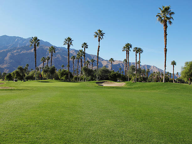 Lush green golf course in the Palm Springs desert