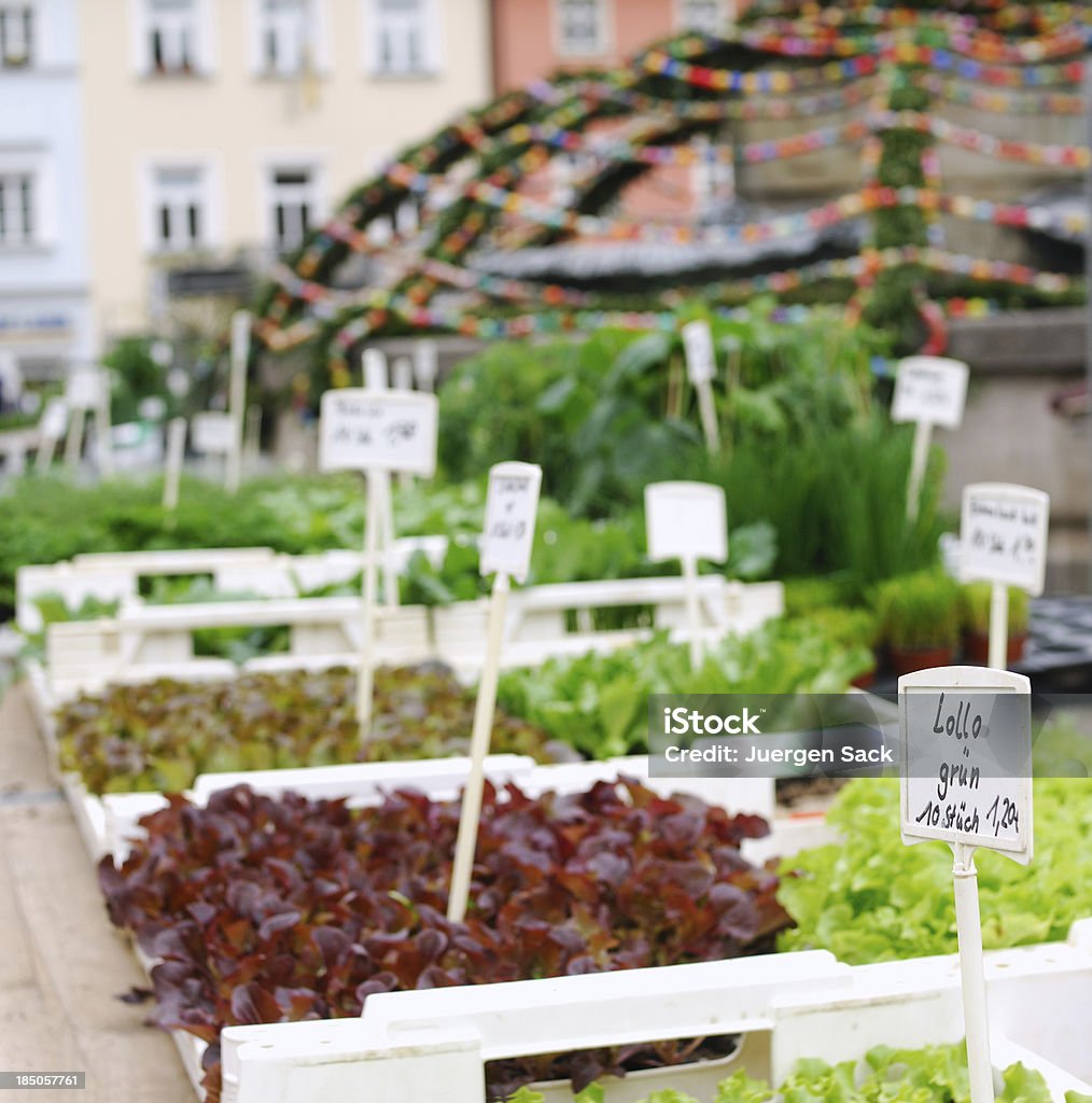 Lollo Rosso and fresh salad on German Easter market Fresh salad on a local spring Farmer´s market with a decorated Easter fountain in the background. Bavaria Stock Photo