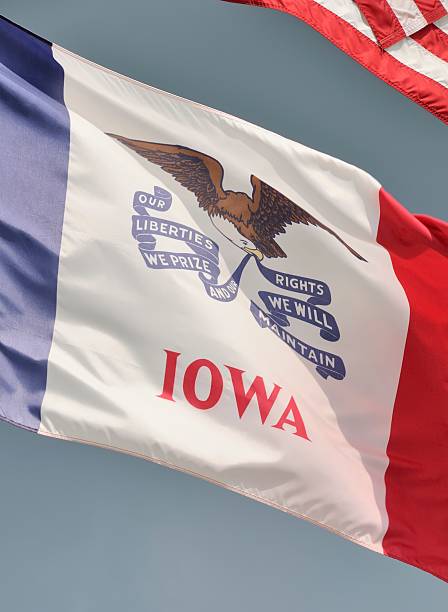 thumbnail image 2 of NEW 3x5 Ft Iowa State Flag - Better Quality, USA Seller 2 of 3