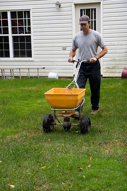 istock Ladscaper Fertilizes a Lawn 185058558
