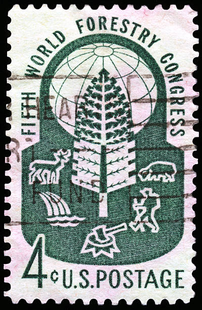 istock Fifth World Forestry Congress 185058602