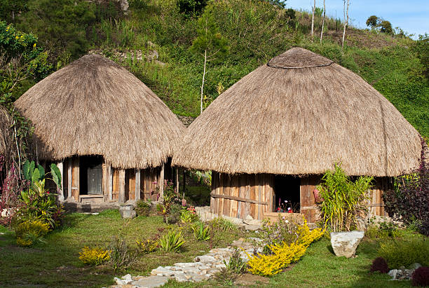 Traditional Papua Huts stock photo