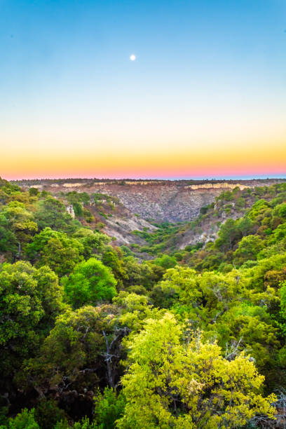 istock Valley type canyon in the low deciduous forest at sunset in Monte Escobedo Zacatecas 1850590494