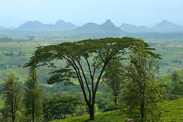 Paisaje de África - foto de stock