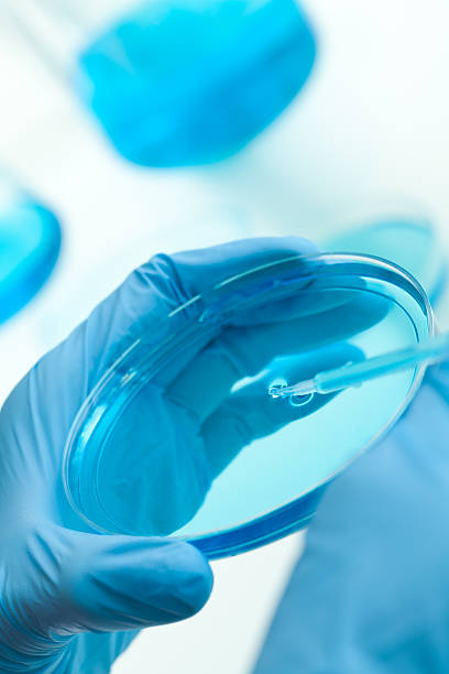 istock Chemist drawing water from petri dish in lab experiment 185059121