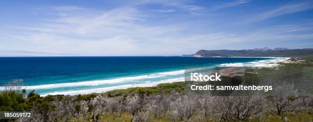 Friendly Praia - Fotografias de stock e mais imagens de Wineglass Bay - Wineglass Bay, Areia, Australásia