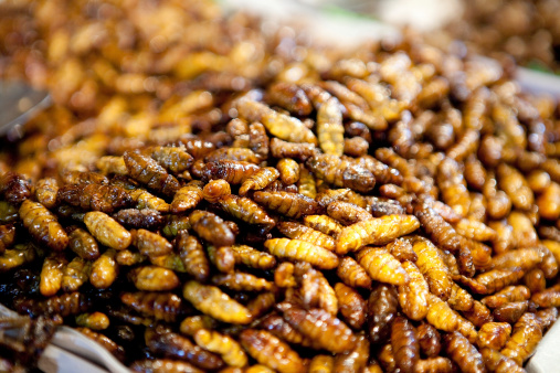 pile of deep fried bugs - used as a kind of snack in Asia