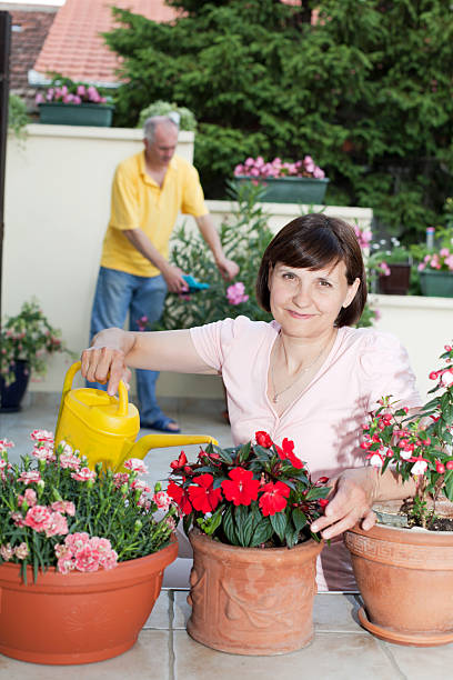 istock Elderly couple working  together in backyard. 185059312