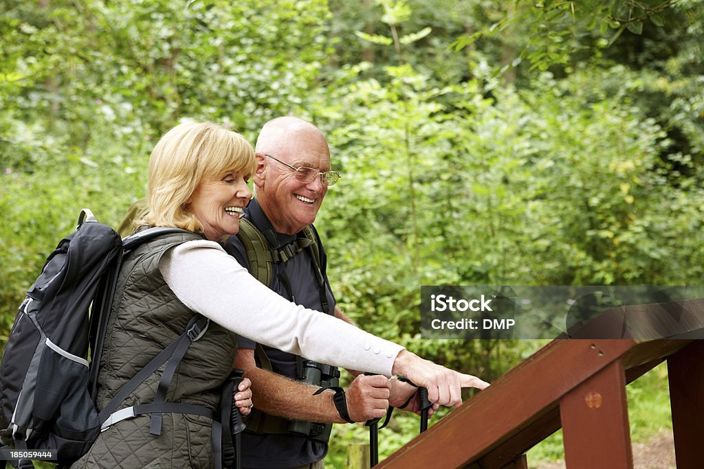 Active senior par de caminatas - Foto de stock de Actividad libre de derechos