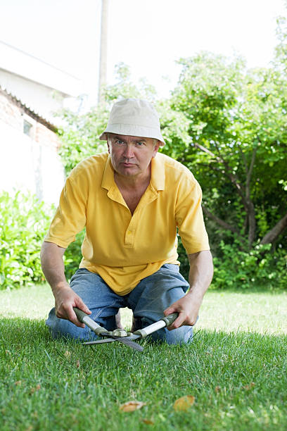 istock Mature man cutting grass with big secateurs. 185059484