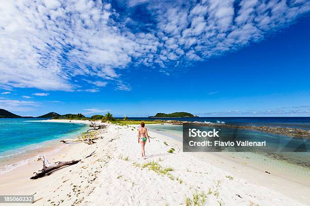 Der Sandy Island Grenada Stockfoto und mehr Bilder von Insel Grenada - Insel Grenada, Entspannung, Cay - Insel