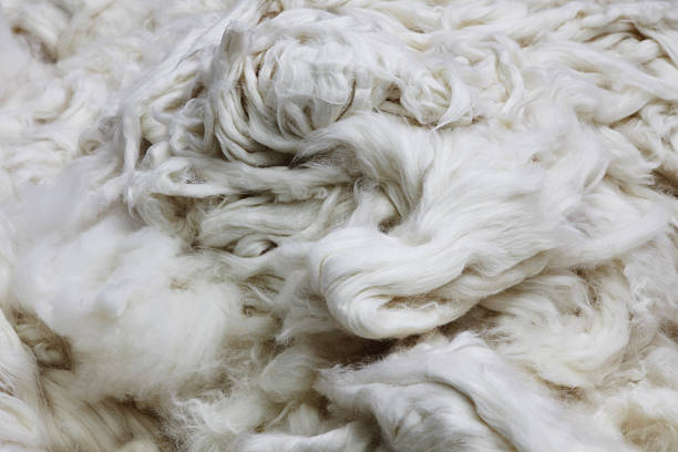 fabbrica tessile la contaminazione free sfondo di elaborazione cotone organico - textile industry textile wool textile factory foto e immagini stock