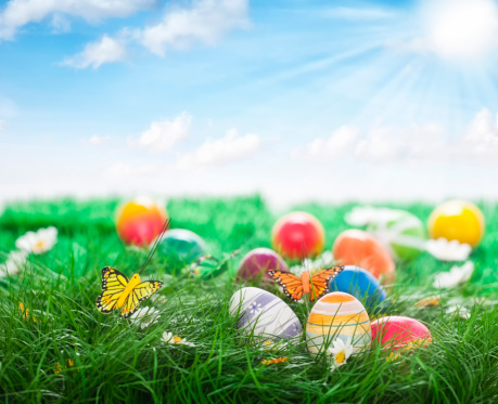 Colorful Easter eggs on green grass. They can be painted in various colors and can be given on Easter or springtime. Decorating Easter Eggs is fun and creative activity which you can do with your family. Colored Easter Egg is a universal symbol of Easter.