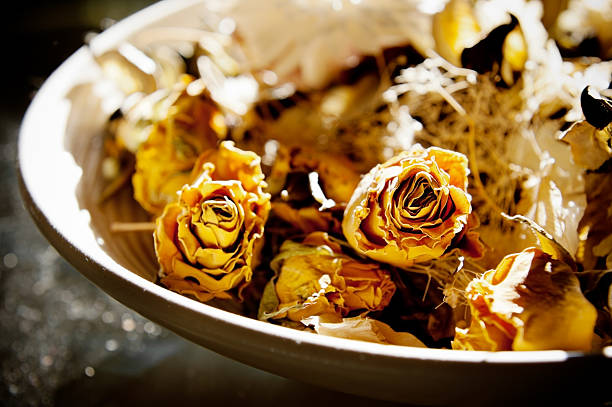 home interior - dried roses in morning sunlight