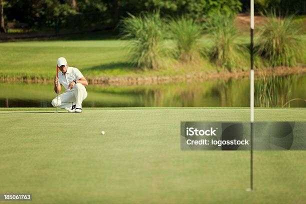 Eagle - Fotografie stock e altre immagini di Golf - Golf, Tee off, Terza età