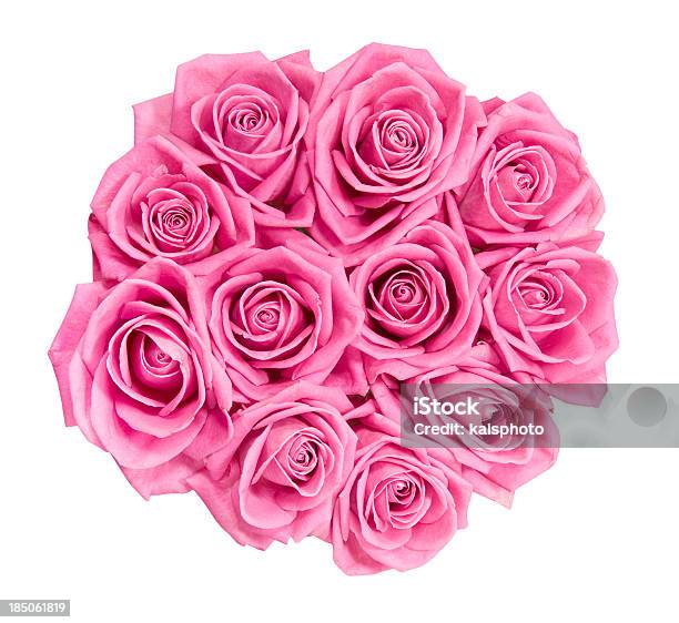 Bouquet Of Pink Roses — стоковые фотографии и другие картинки Без людей - Без людей, Белый фон, Букет