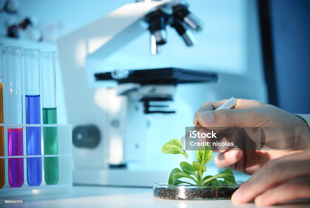 La biotechnologie - Photo de Chimie libre de droits