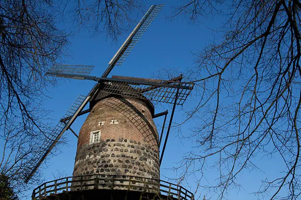 "windmill against clear sky framed by bare trees - this recently renovated mill is located on the medieval townwall of Zons in Rhineland, at the Rhine riverMy building and building parts are collected here:"