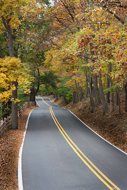 istock Autumn Country Road 185062446