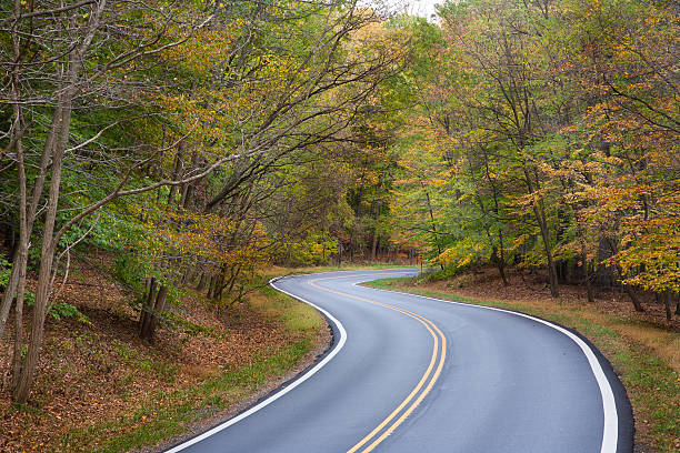 istock Autumn Country Road 185062449