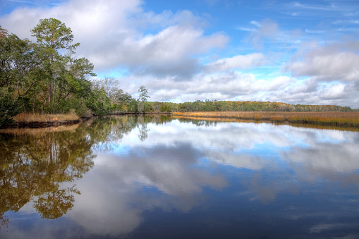Beautiful reflection in the lowcountry of South Carolina near Charleston