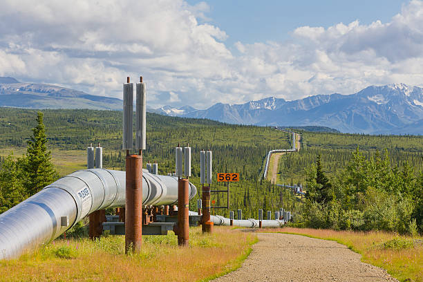 istock Trans Alaskan Oil Pipeline, Alaska 185063249