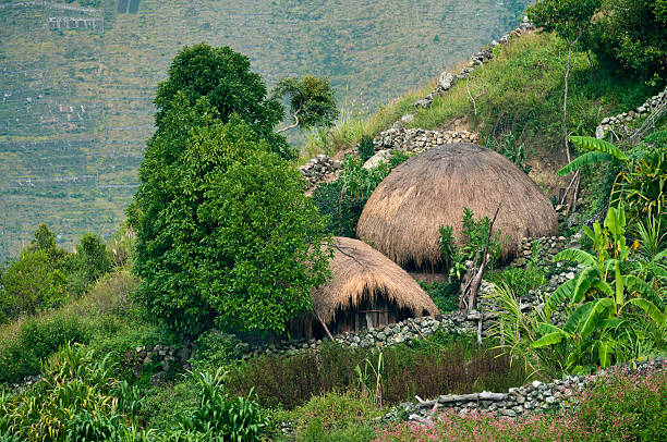 Traditional village in Papua stock photo