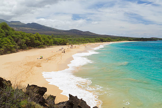 istock Big Beach, south Maui, Hawaii 185063516