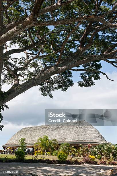 Fale Riunioni Principale Samoa - Fotografie stock e altre immagini di Caratteristica architettonica - Caratteristica architettonica, Casa, Casa di culto