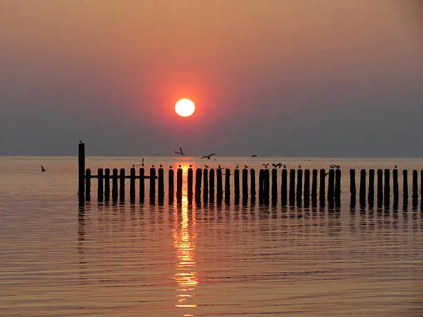 Photo of Sunset Pier
