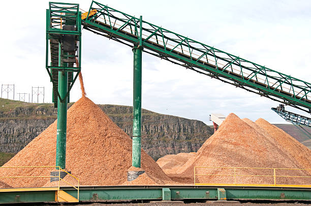 istock Wood chips falling from conveyor belt at lumber mill 185065918