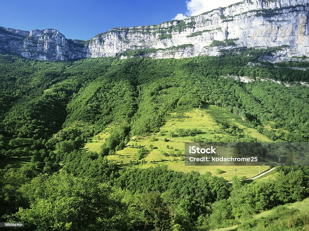 vercors - Lizenzfrei Baum Stock-Foto