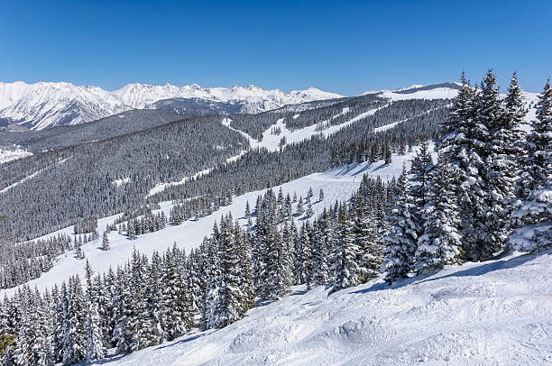 istock Skiers on Catwalk in Vail Colorado 185066239