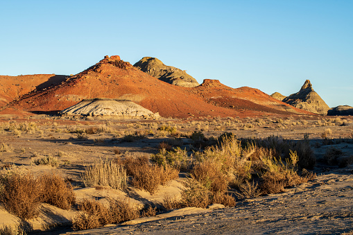 Landscape at Bisti Southern Section, Farmington, New Mexico, USA