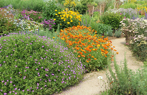 istock Flower and herb garden 185066425