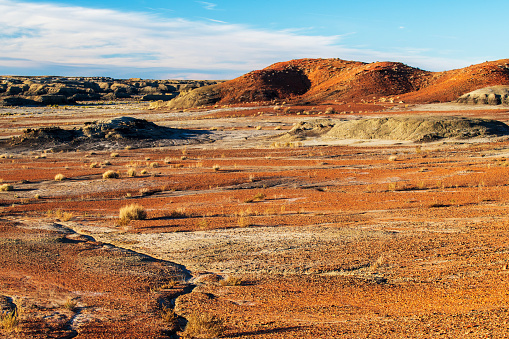 Landscape at Bisti Southern Section, Farmington, New Mexico, USA