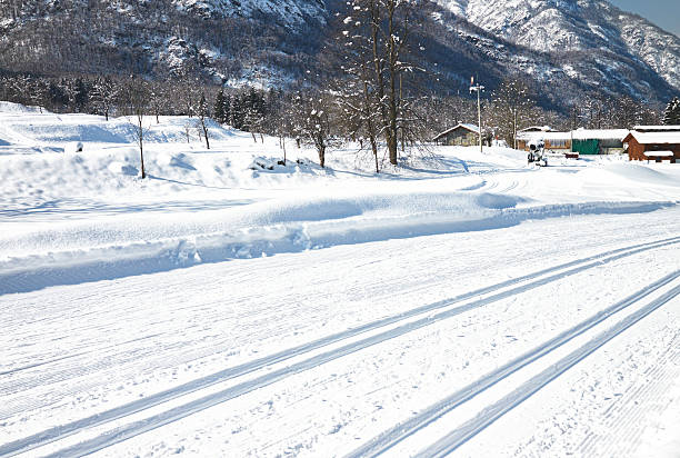 istock Cross-country skiing. Color Image 185066555