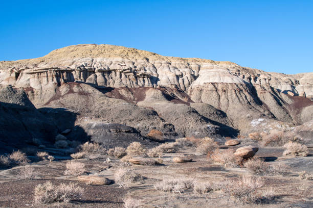 istock Scenery of Bisti Wilderness Area 1850665989