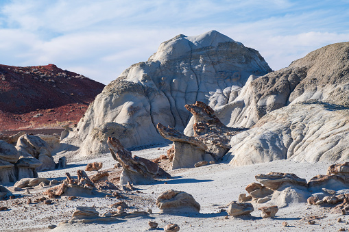 Rock formation at Bisti Southern Section, Farmington, New Mexico, USA