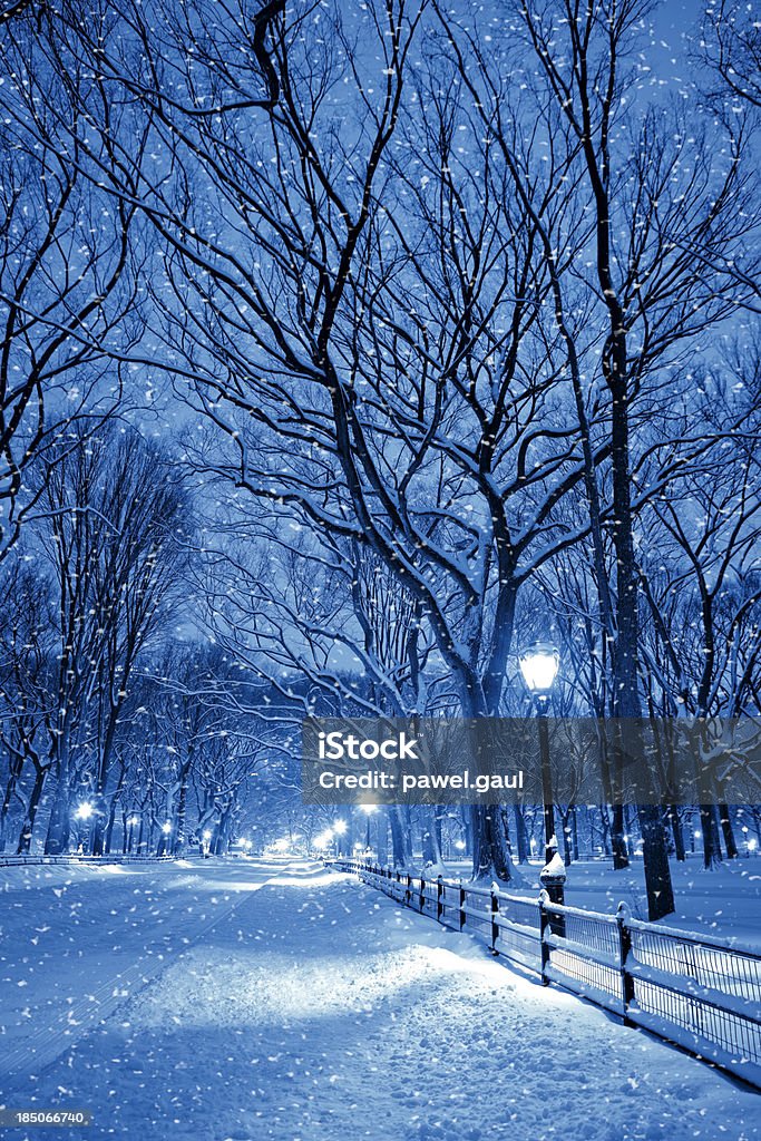 Central park bei Nacht während Schnee Sturm - Lizenzfrei New York City Stock-Foto