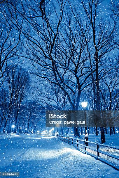 Central Park By Night During Snow Storm Stock Photo - Download Image Now - New York City, Winter, New York State