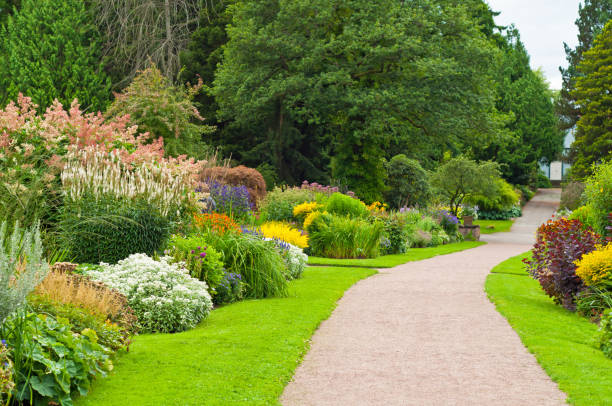 splendido giardino con sentiero. - formal garden flower bed lawn ornamental garden foto e immagini stock