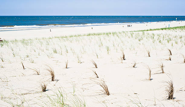 istock Beach With Grass, North Sea, Netherlands, Frisian Islands 185067182