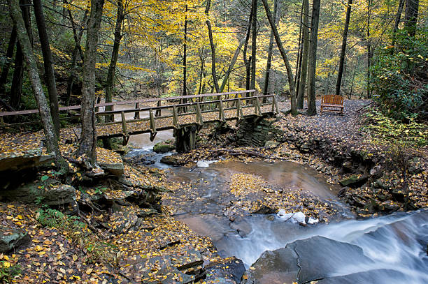 istock Bridge Across Stream in Fall Forest, Waterfall and Yellow Leaves 185067941