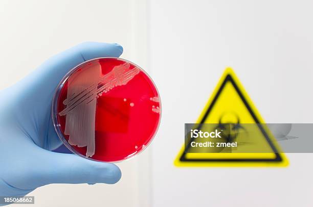 Patógeno Bacterias Foto de stock y más banco de imágenes de Símbolo de riesgo biológico - Símbolo de riesgo biológico, Agar sangre, Agar-agar